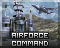 Coalition Airforce Command