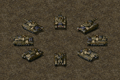 Raccoon Tank Raccoon Tank